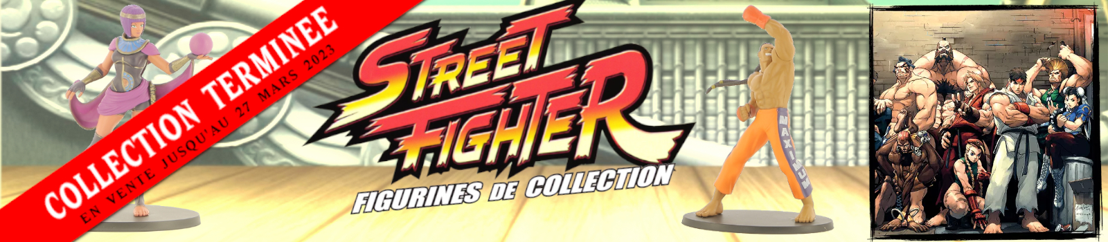 Collection terminée - Street Fighter